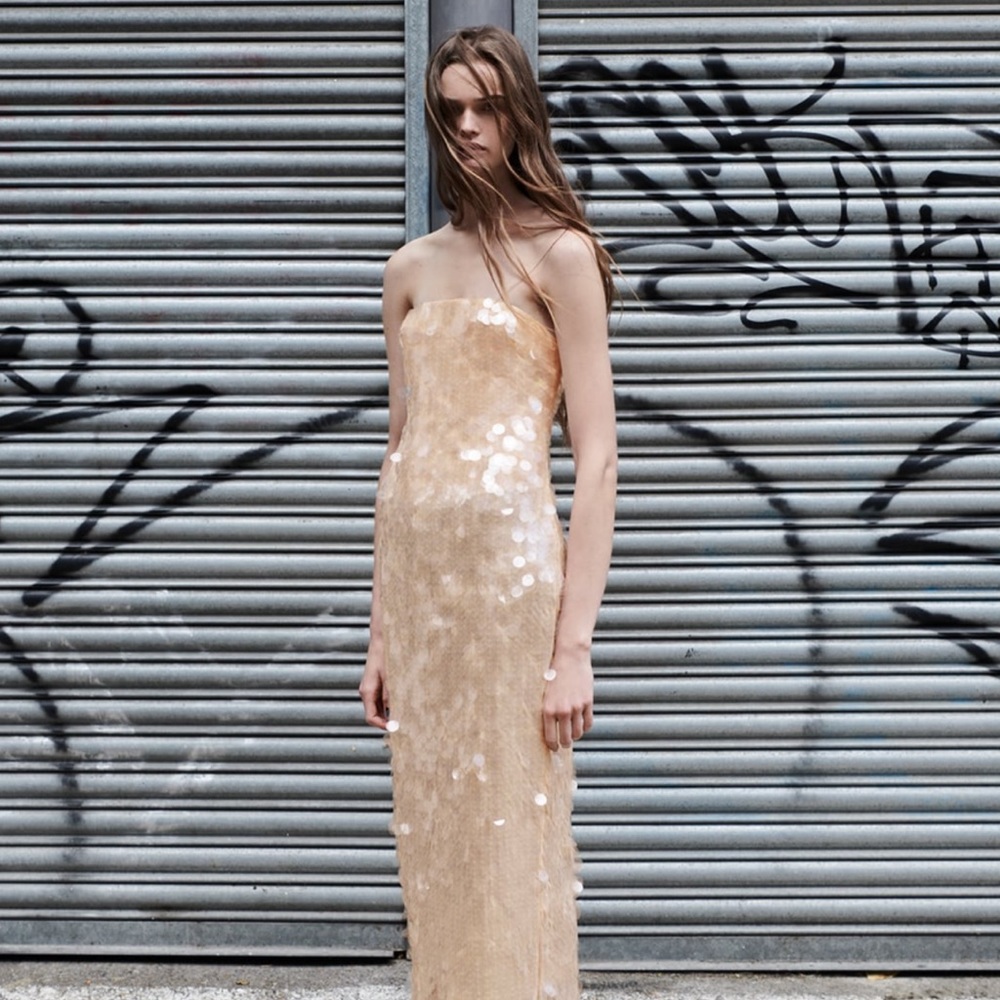 Zara sequin dress